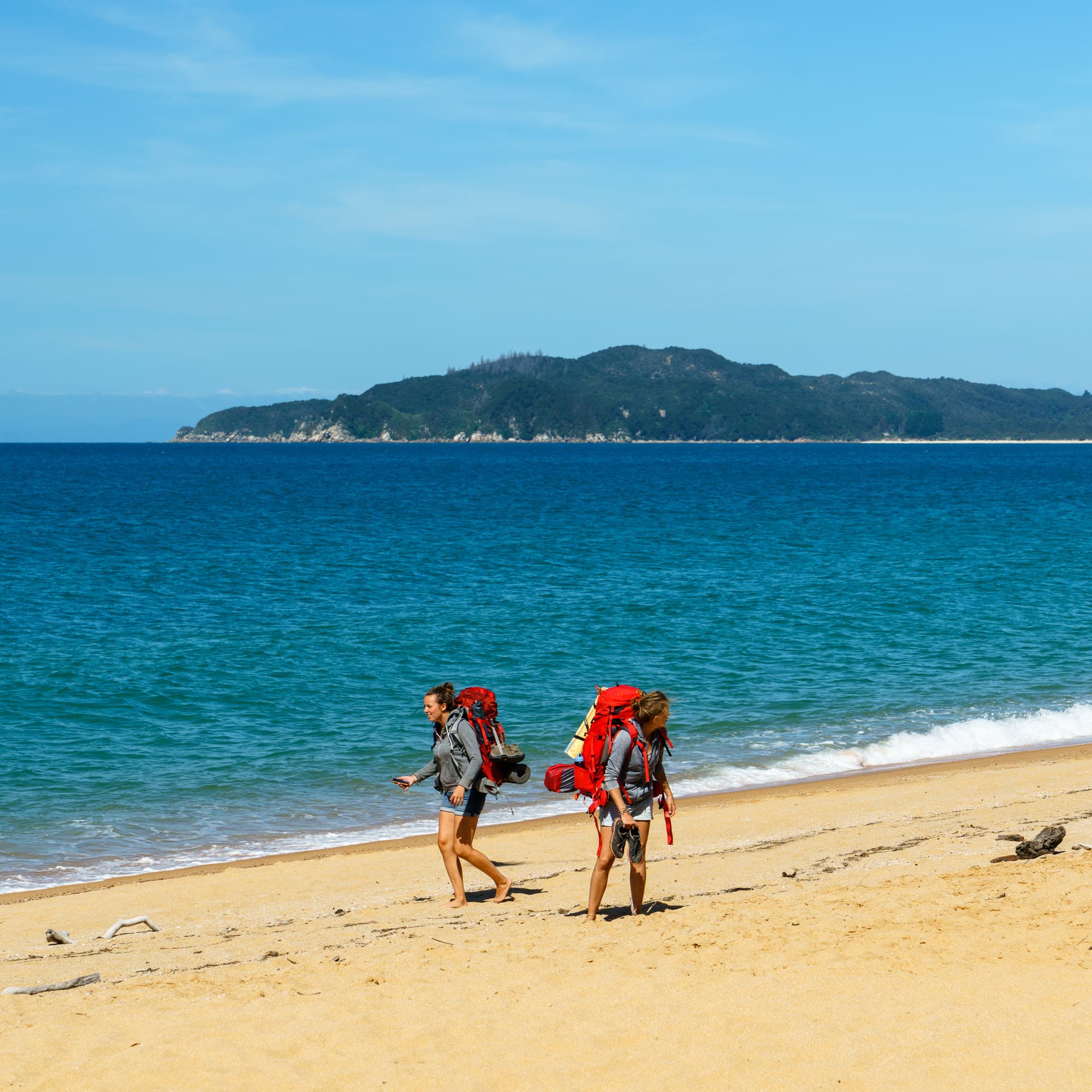 Nelson Lakes & Wharariki Beach photo copyright-paulstamatiou_com-DSC02211