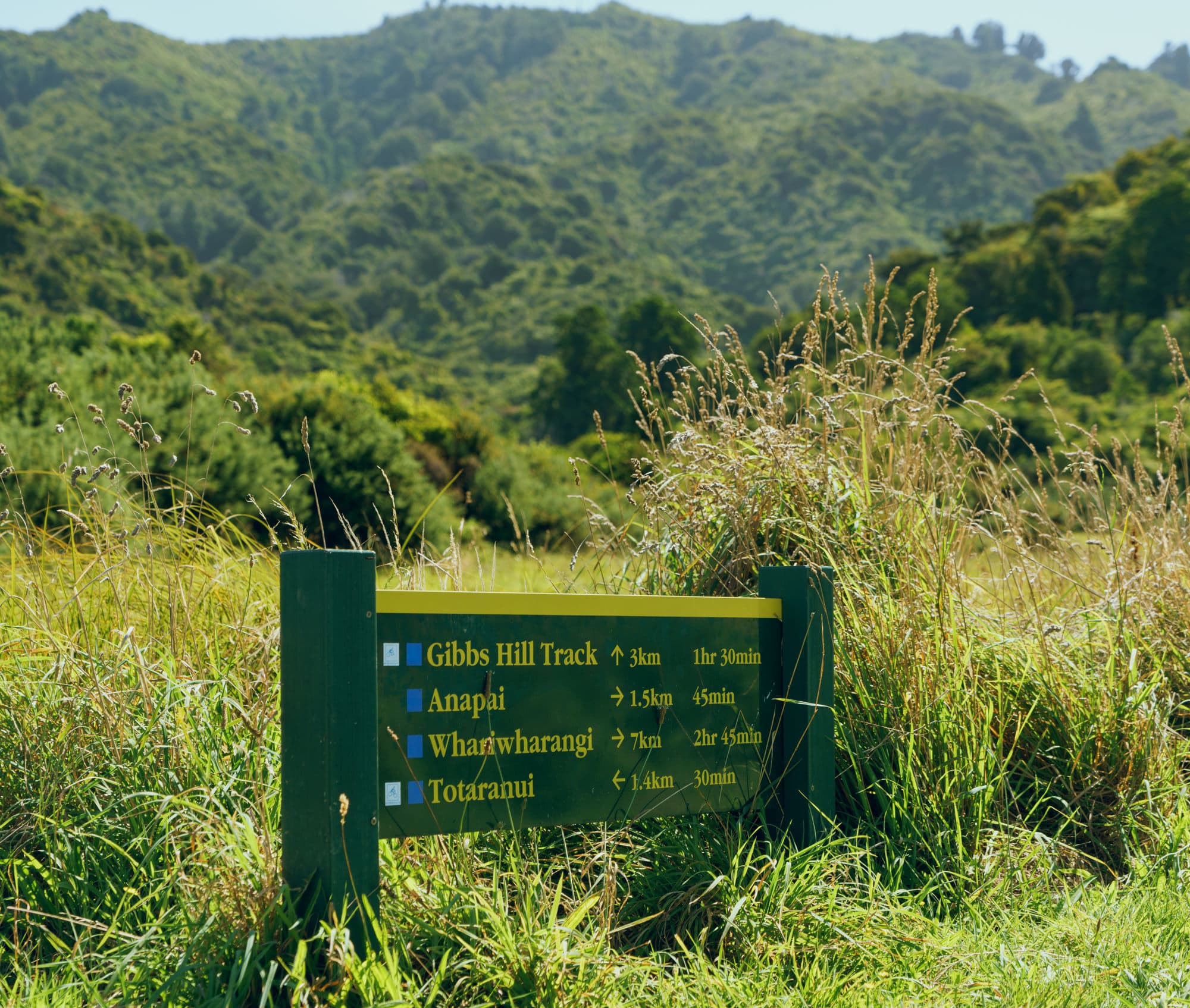Nelson Lakes & Wharariki Beach photo copyright-paulstamatiou_com-DSC02236