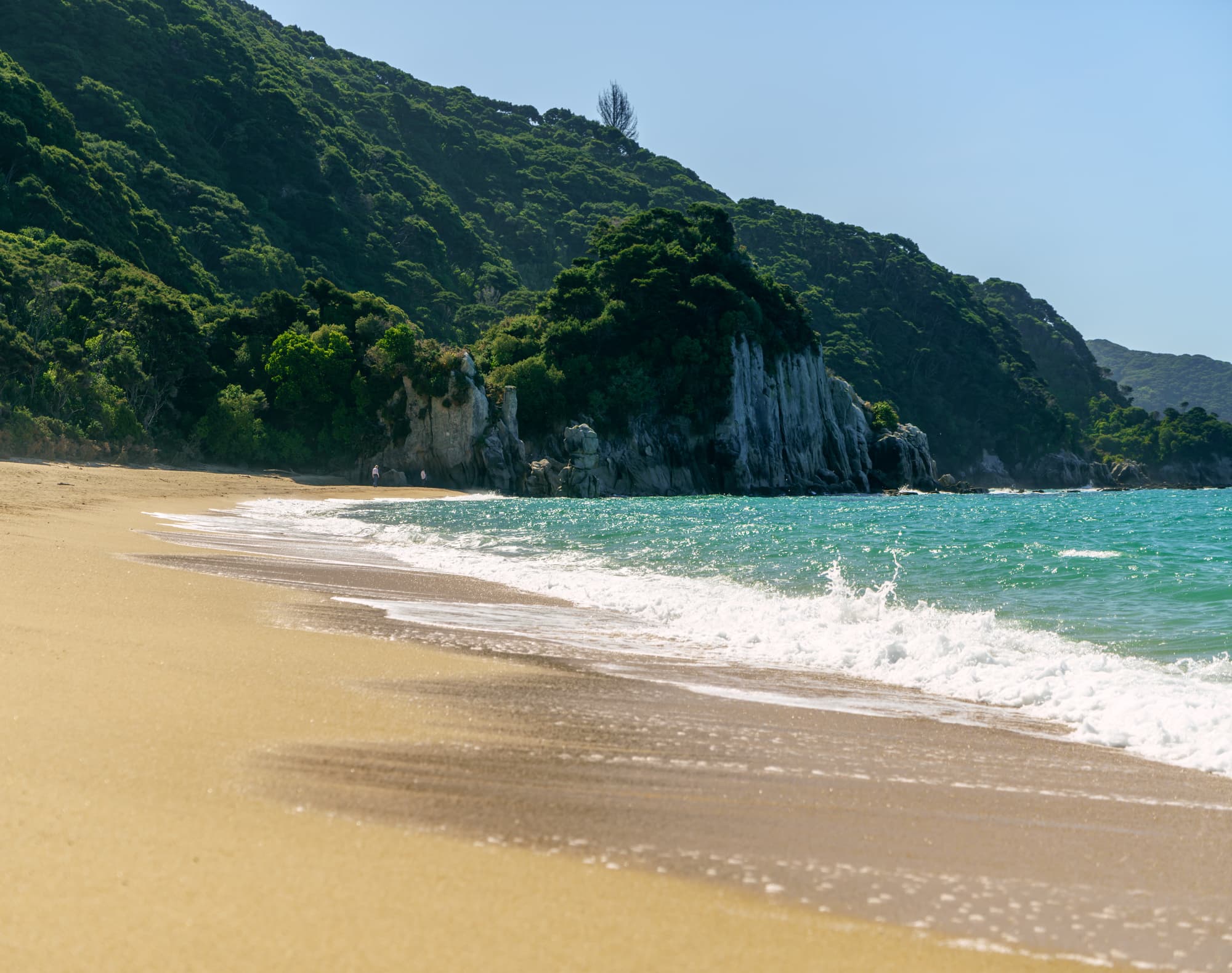 Nelson Lakes & Wharariki Beach photo copyright-paulstamatiou_com-DSC02242