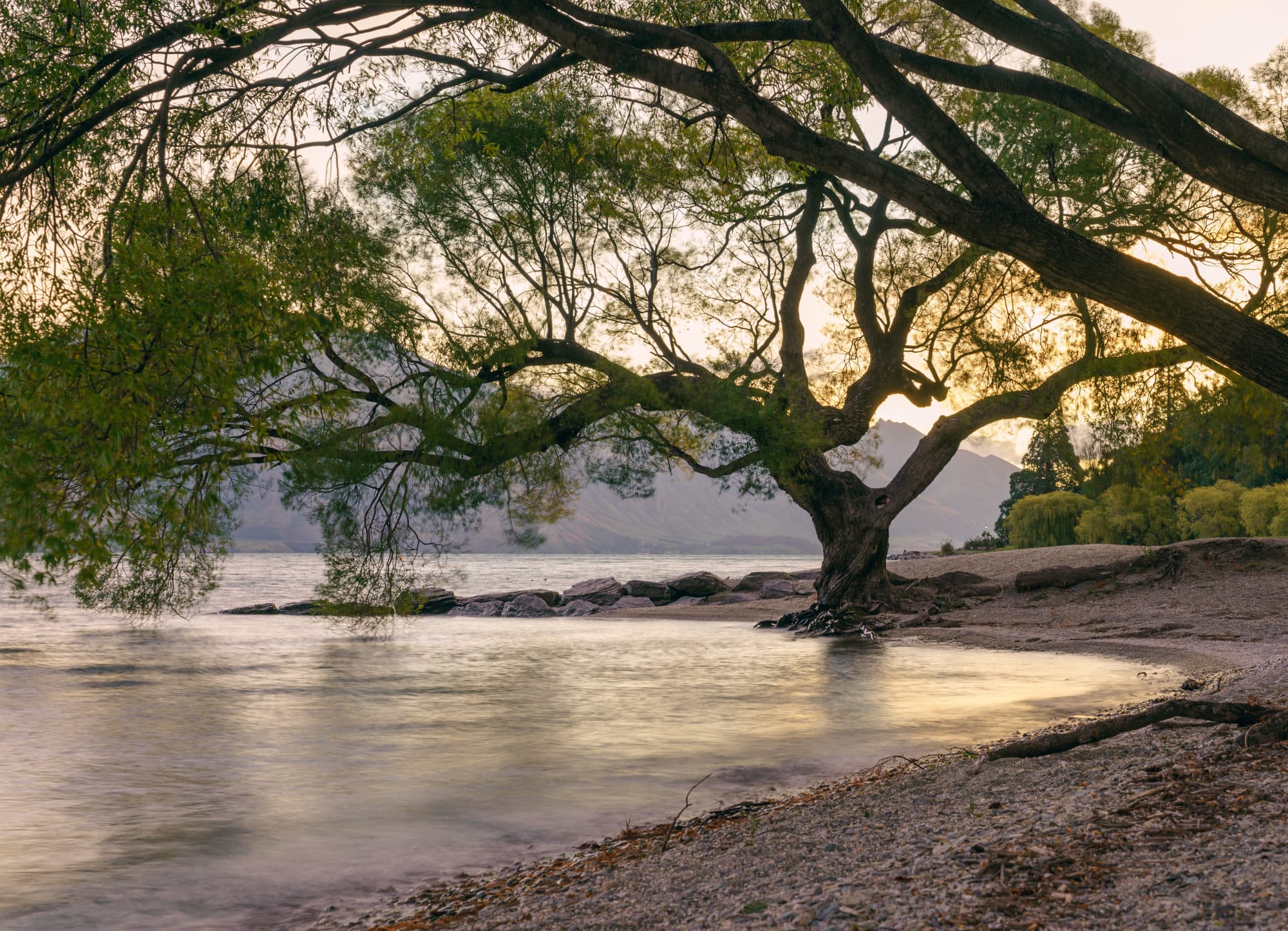 Queenstown & Milford Sound photo copyright-paulstamatiou_com-DSC04403