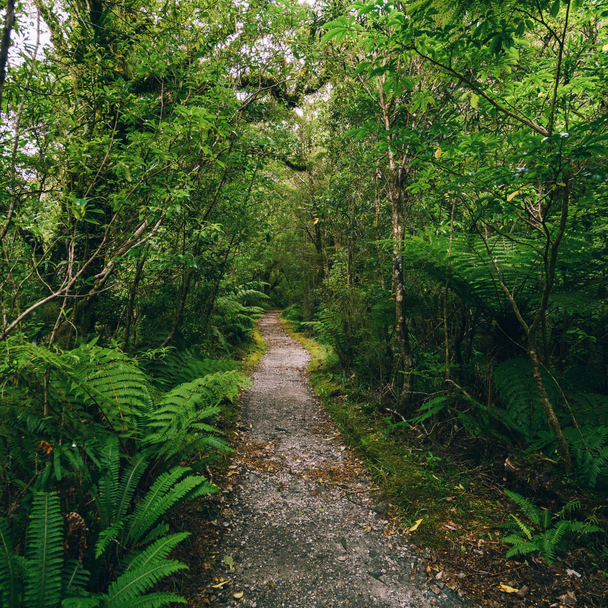 Queenstown & Milford Sound photo copyright-paulstamatiou_com-DSC05706
