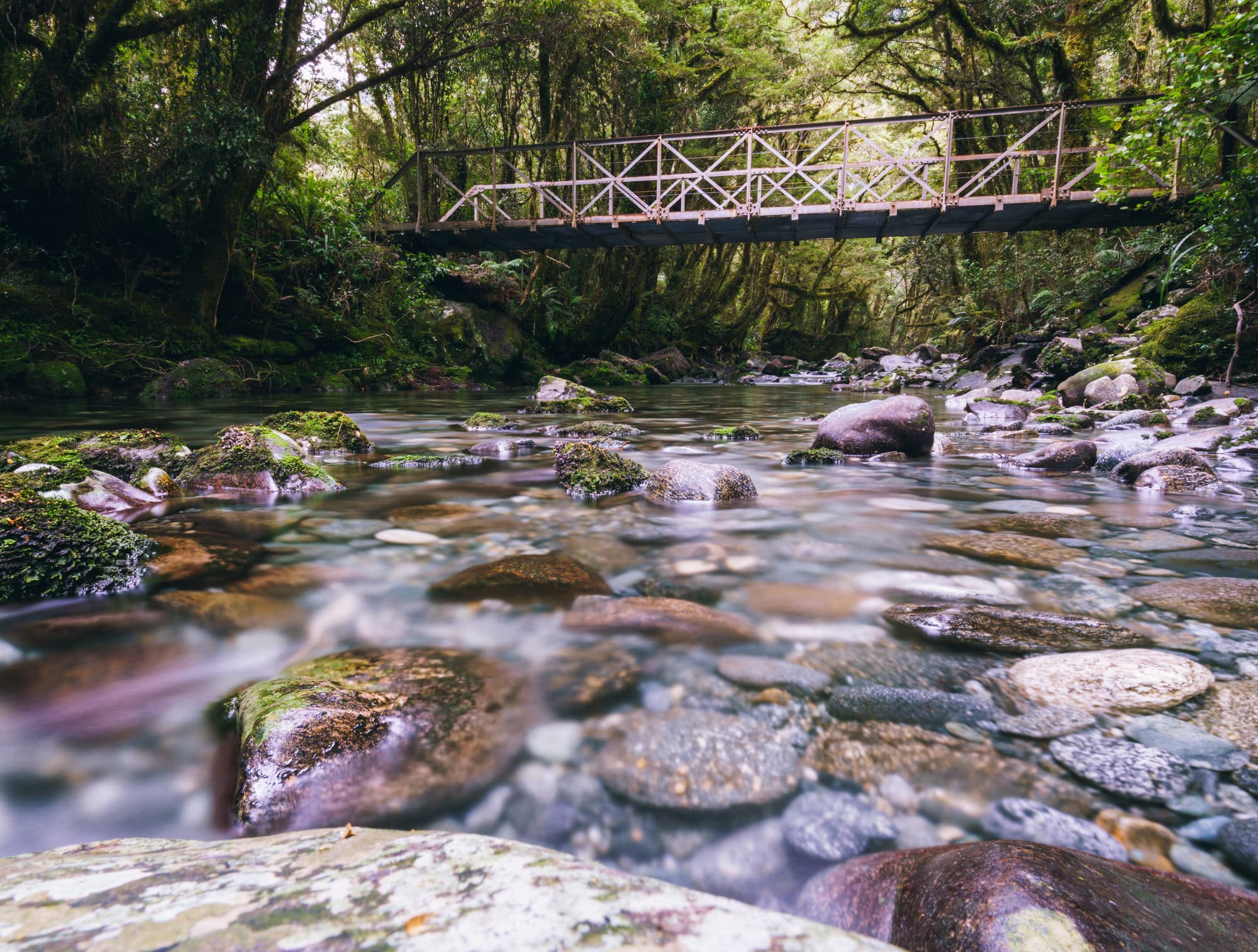 Queenstown & Milford Sound photo copyright-paulstamatiou_com-DSC05740