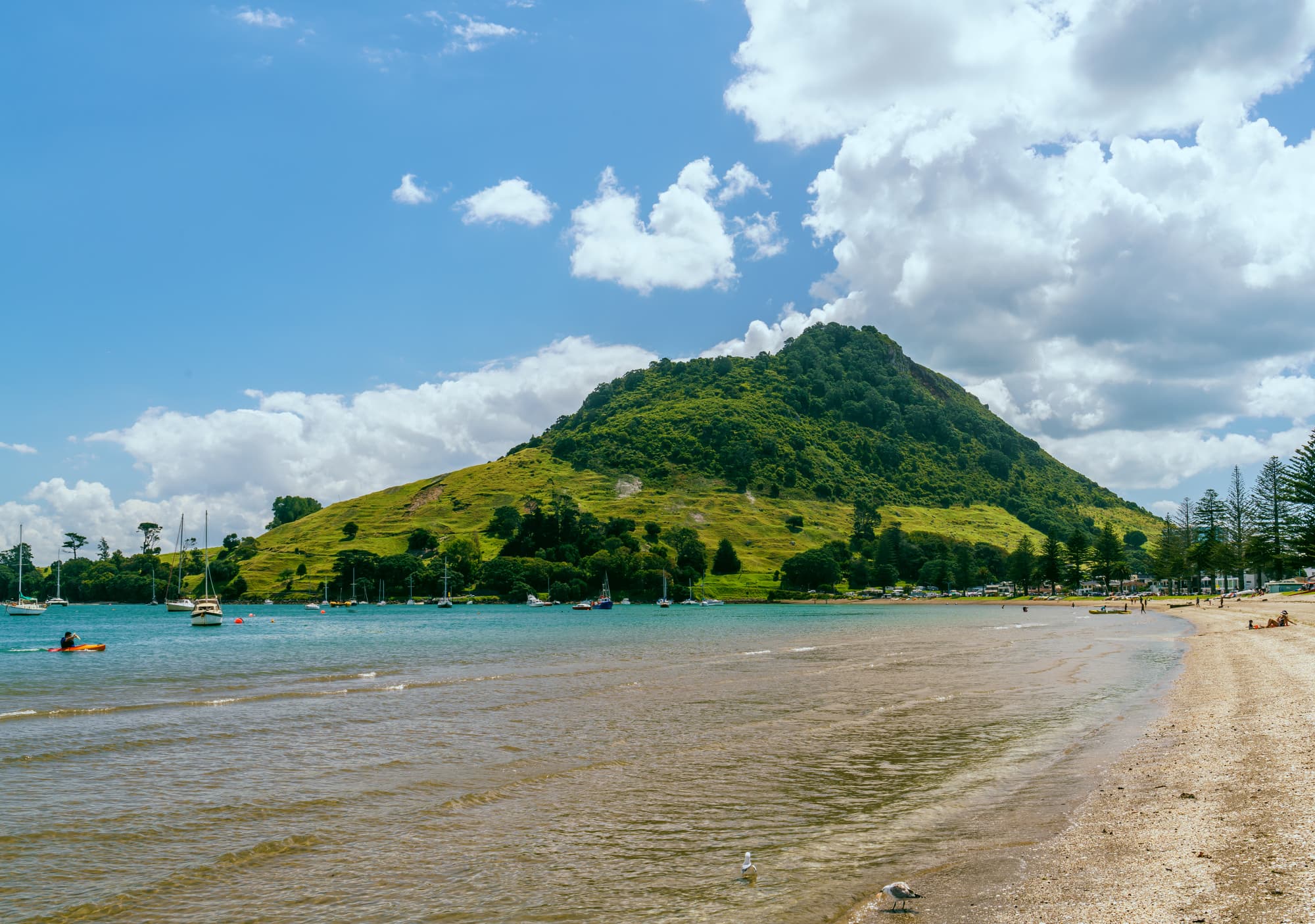 Mt Maunganui & Rotorua photo copyright-paulstamatiou_com-DSC08860