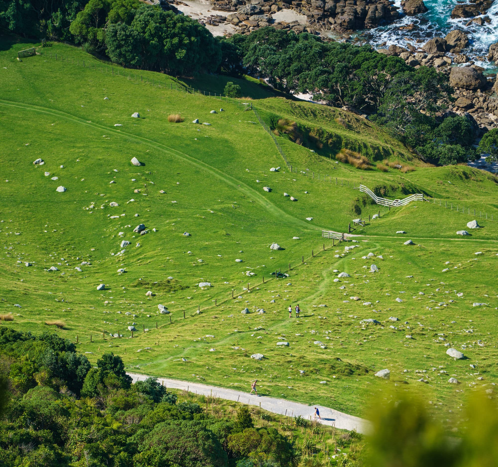 Mt Maunganui & Rotorua photo copyright-paulstamatiou_com-DSC09015