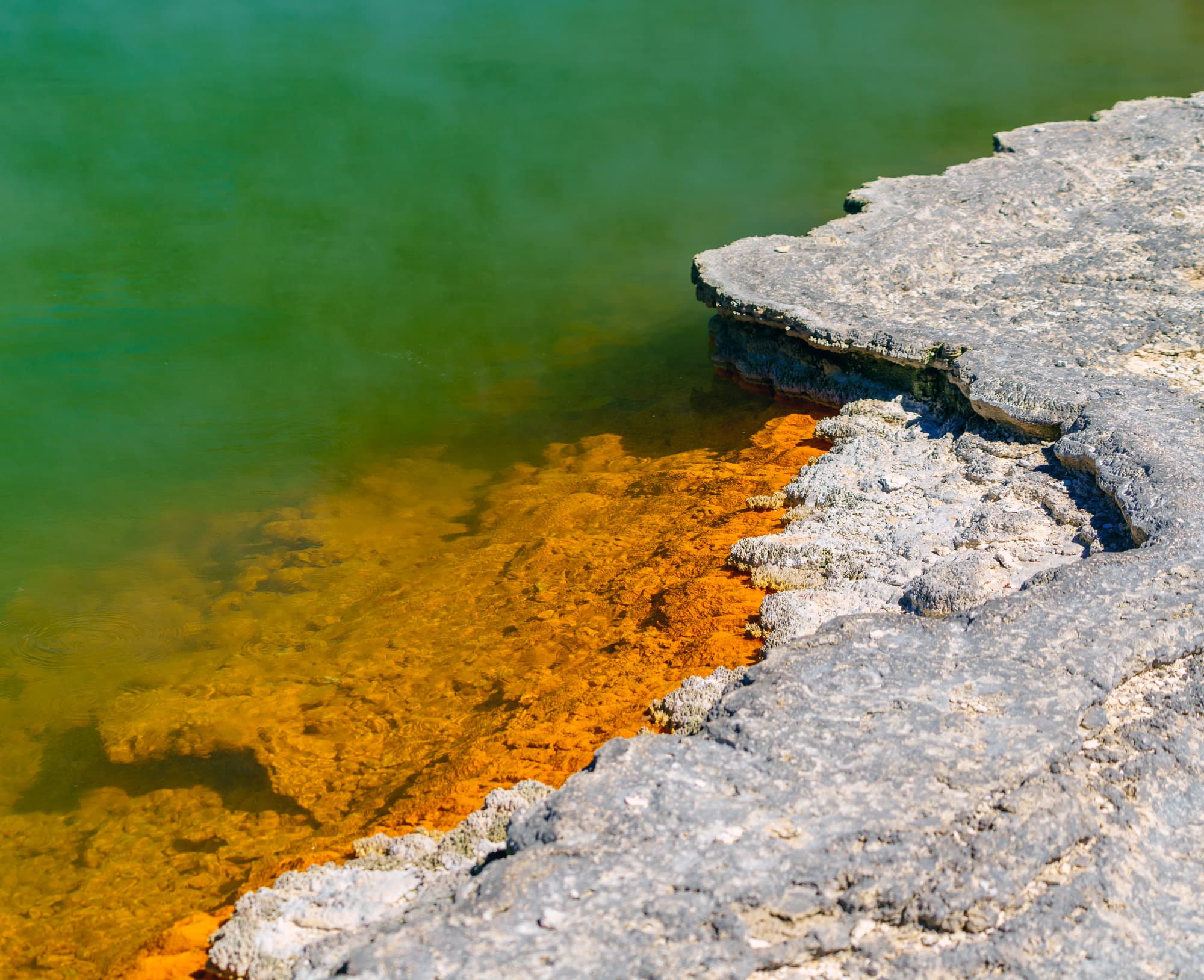 Mt Maunganui & Rotorua photo copyright-paulstamatiou_com-DSC09431