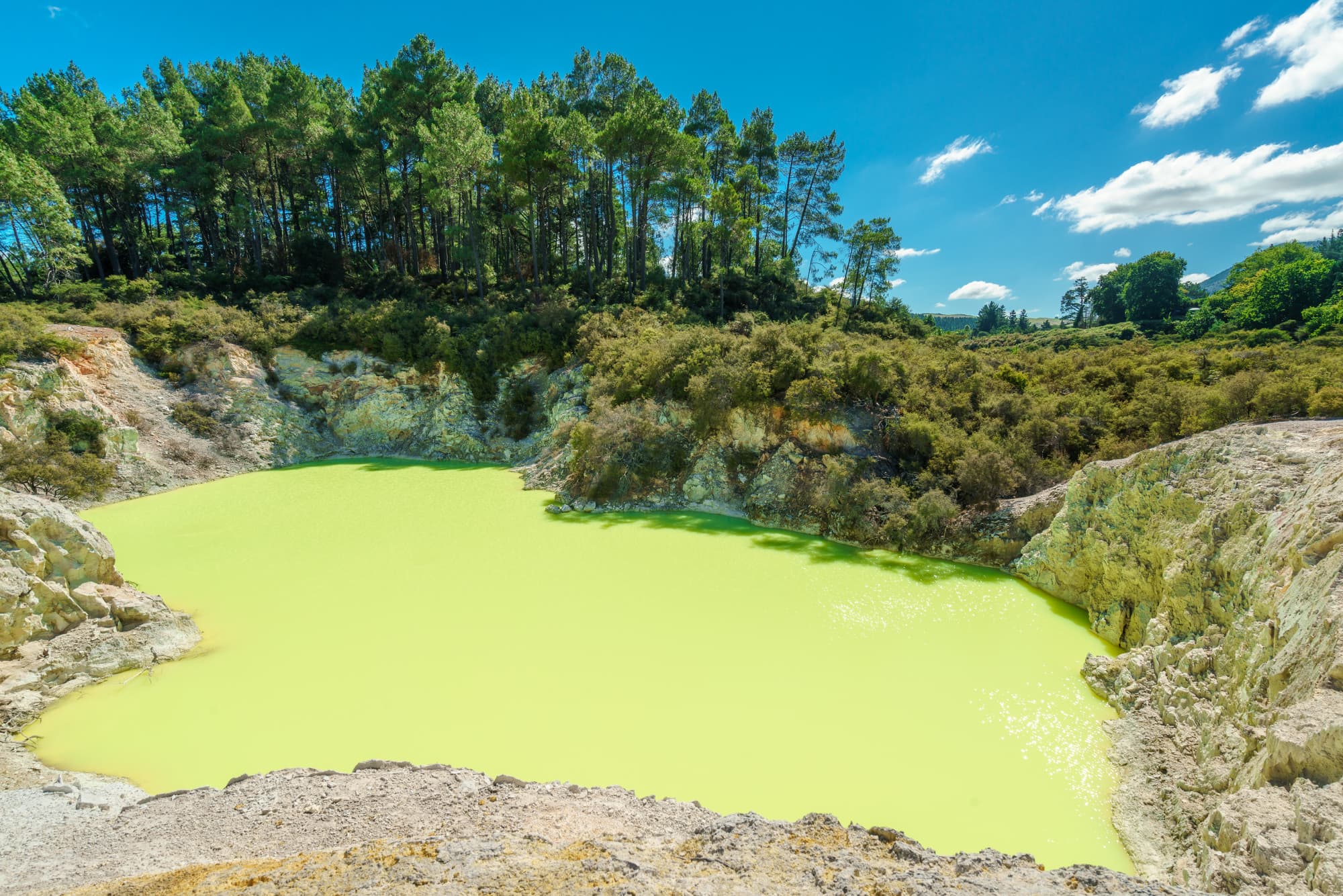 Mt Maunganui & Rotorua photo copyright-paulstamatiou_com-DSC09448