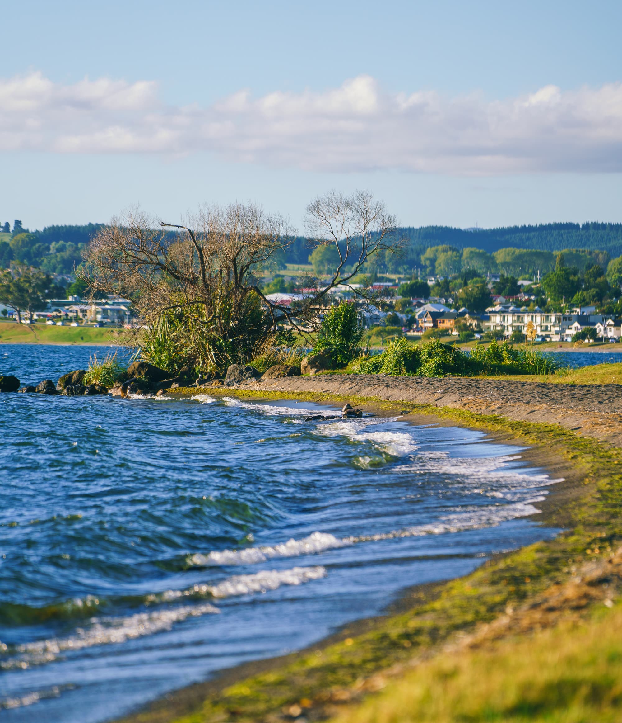 Taupo photo copyright-paulstamatiou_com-DSC09511
