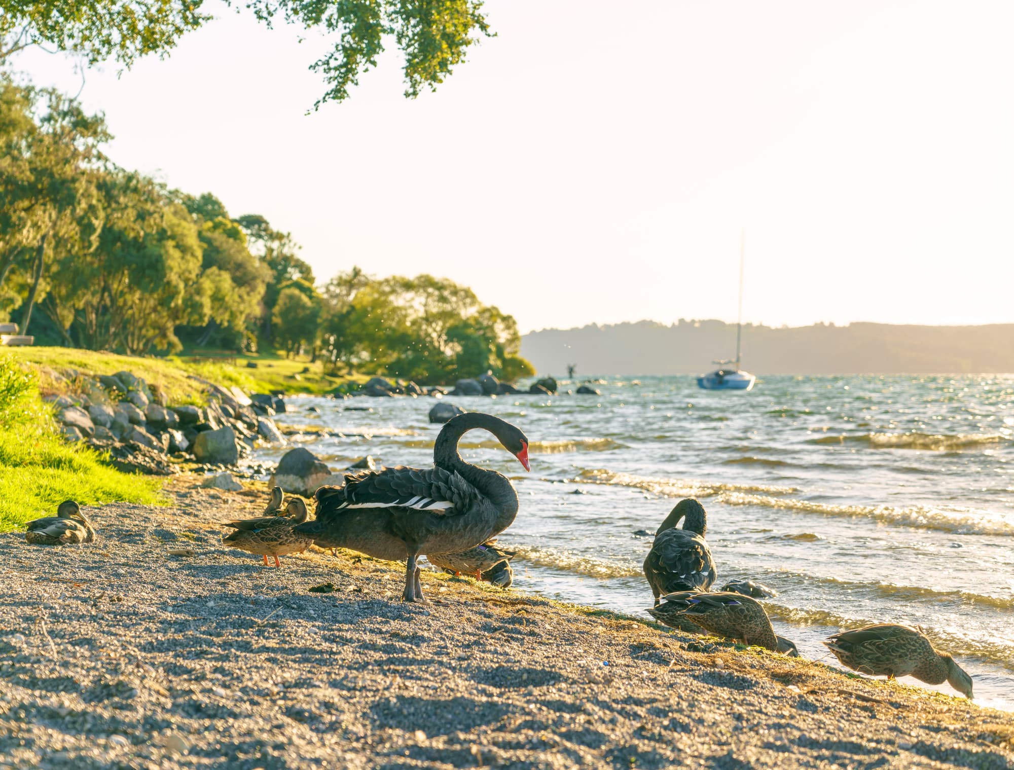 Taupo photo copyright-paulstamatiou_com-DSC09523