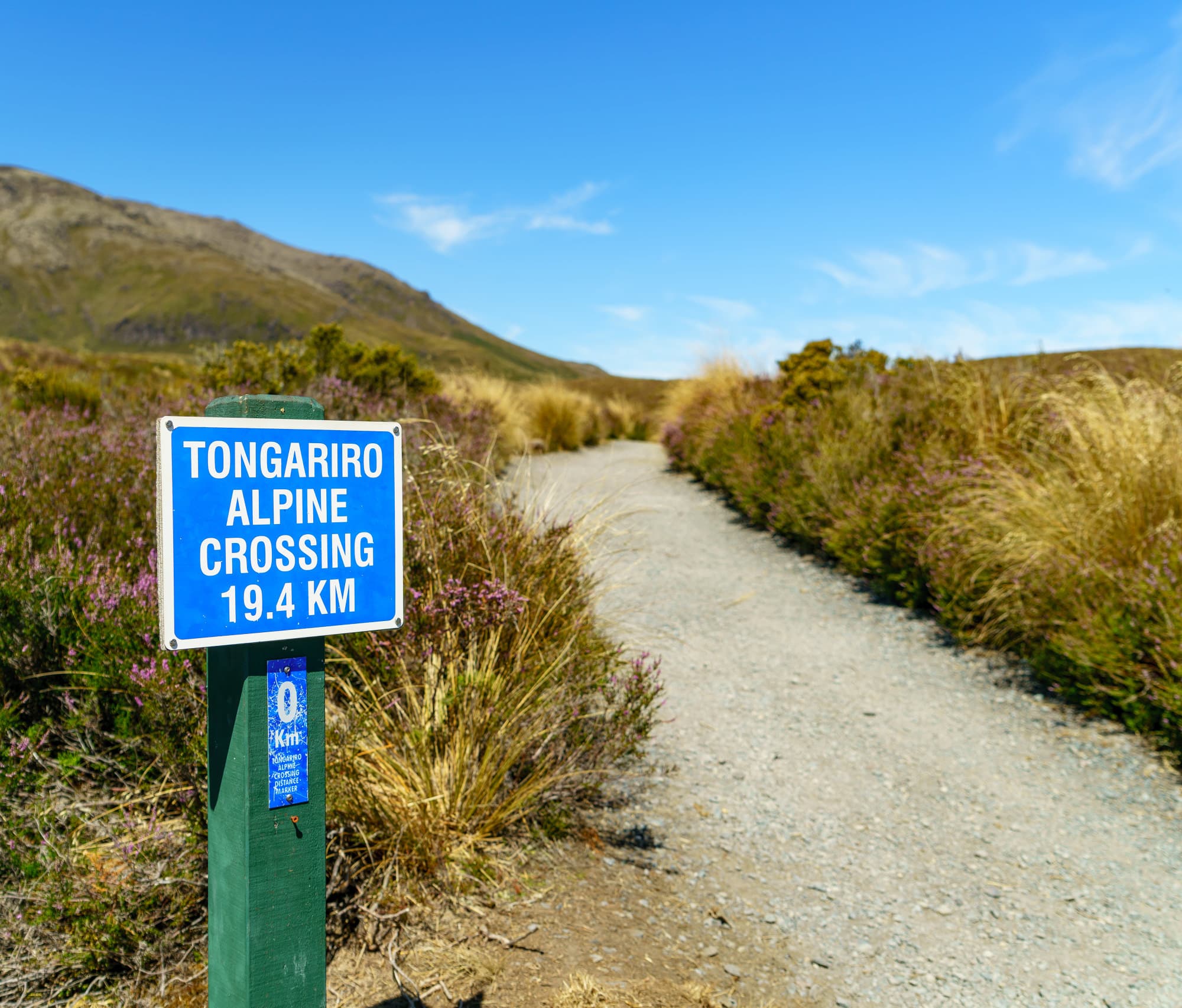 Taupo photo copyright-paulstamatiou_com-DSC09692