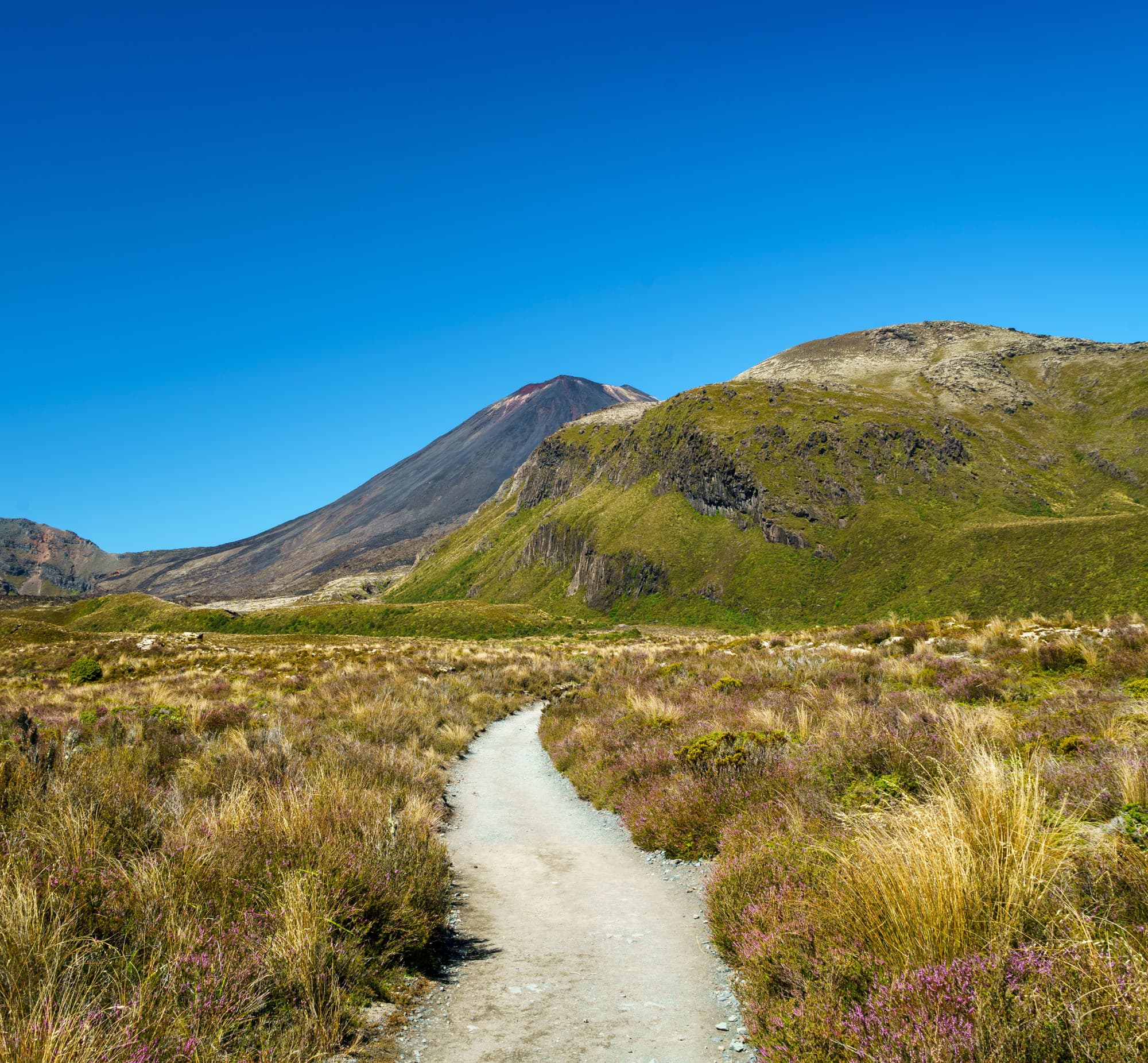 Taupo photo copyright-paulstamatiou_com-DSC09700