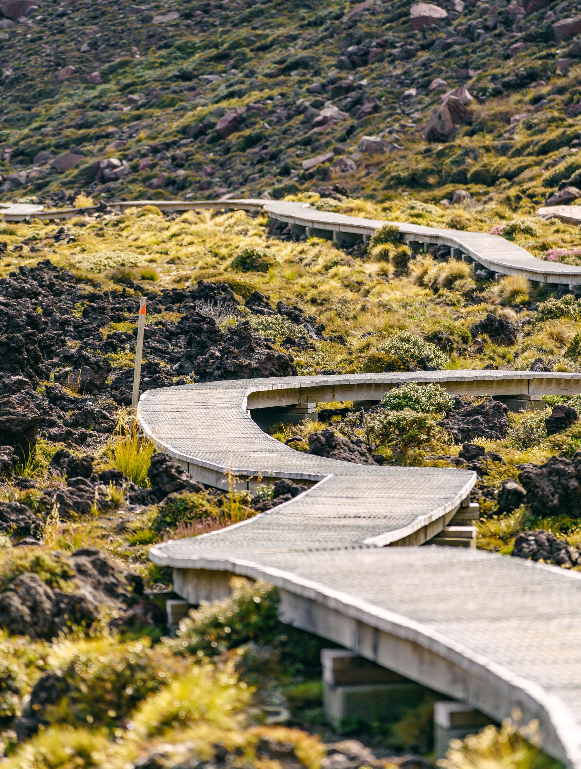 Taupo photo copyright-paulstamatiou_com-DSC09857
