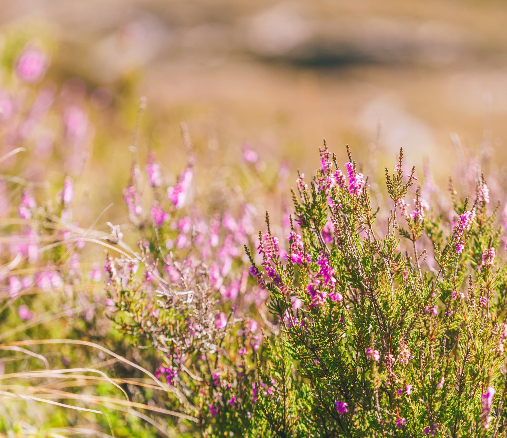 Taupo photo copyright-paulstamatiou_com-DSC09917