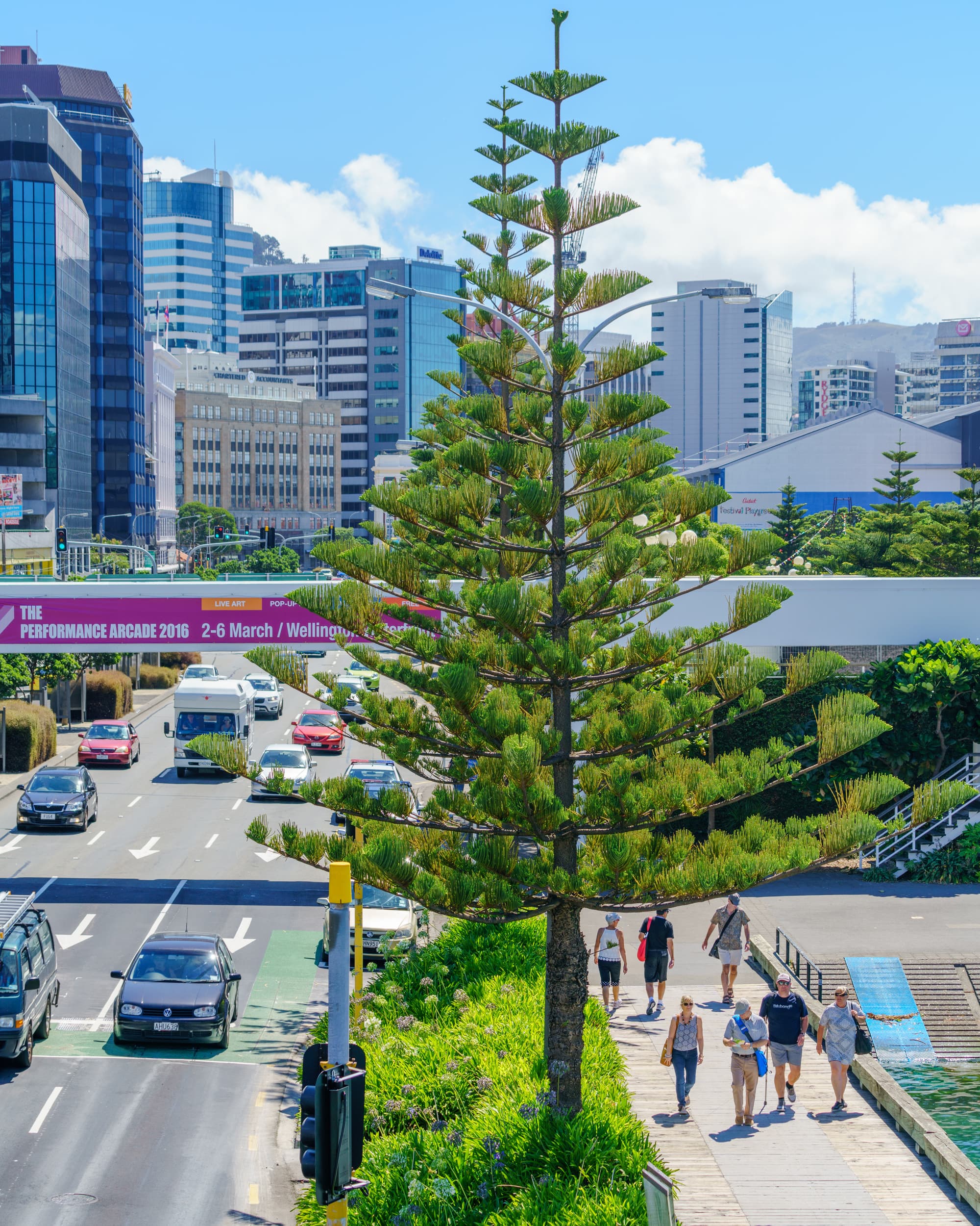 Wellington photo copyright-paulstamatiou_com-DSC00377