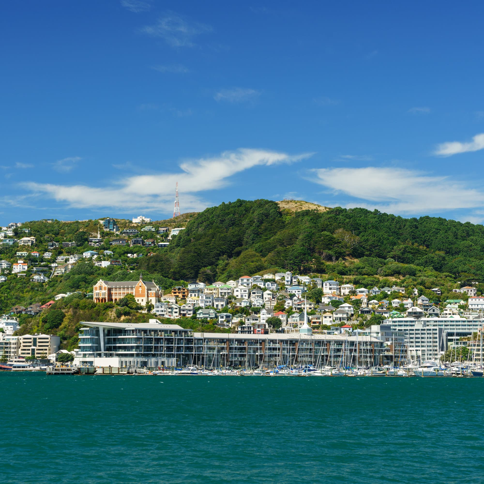 Wellington photo copyright-paulstamatiou_com-DSC00472