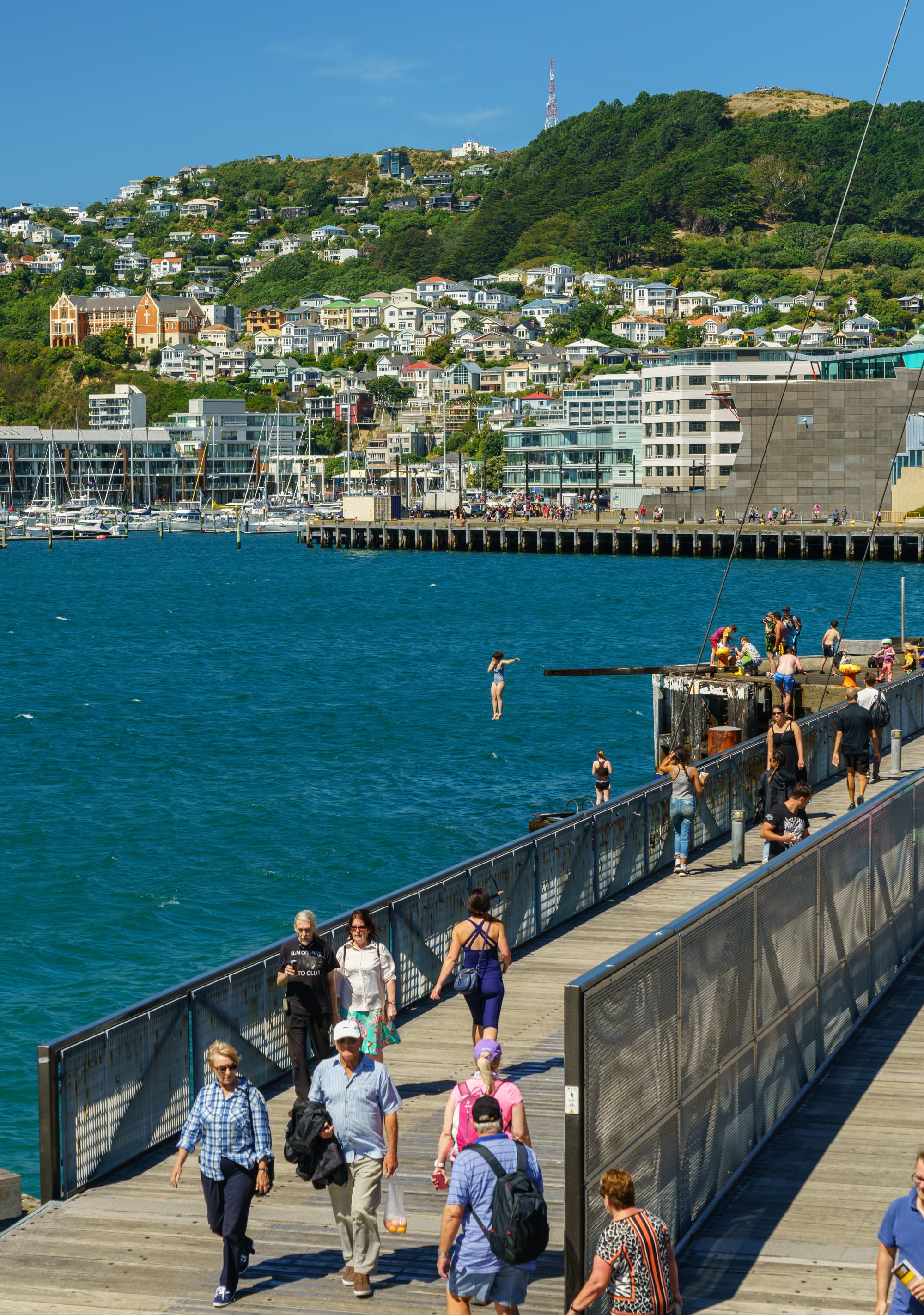 Wellington photo copyright-paulstamatiou_com-DSC00488