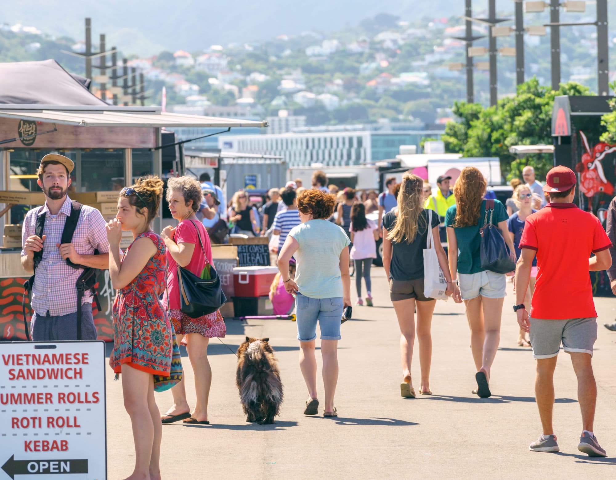 Wellington photo copyright-paulstamatiou_com-DSC00619
