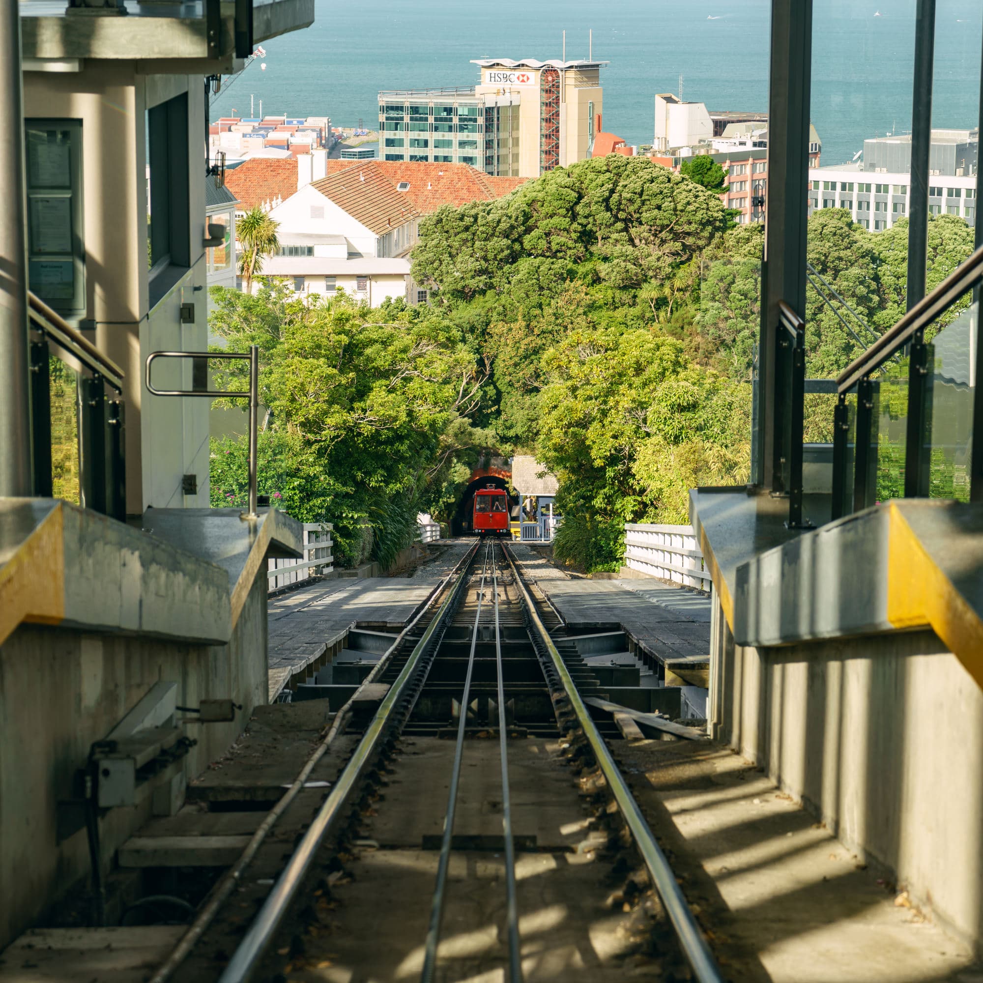 Wellington photo copyright-paulstamatiou_com-DSC00749