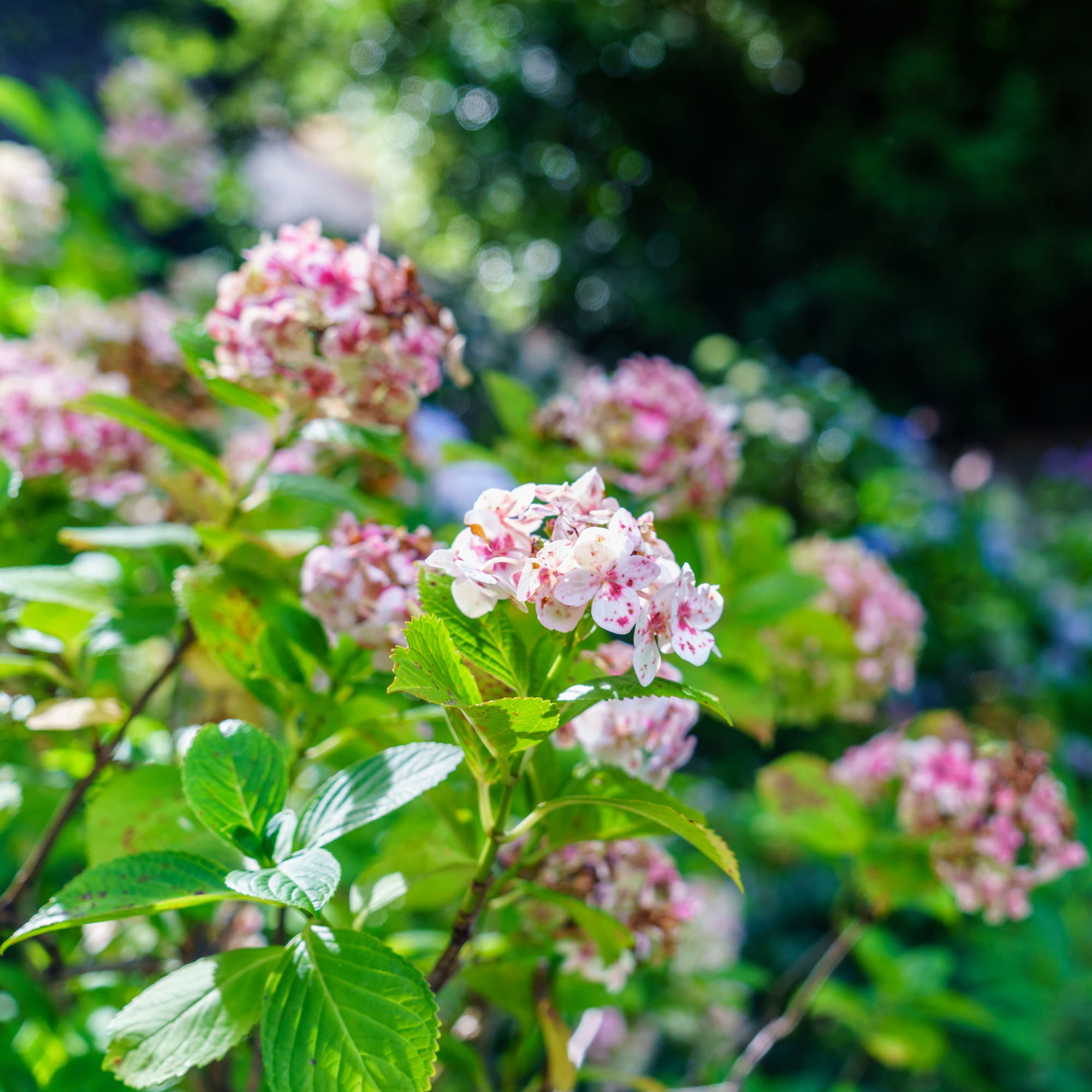 Wellington photo copyright-paulstamatiou_com-DSC00798