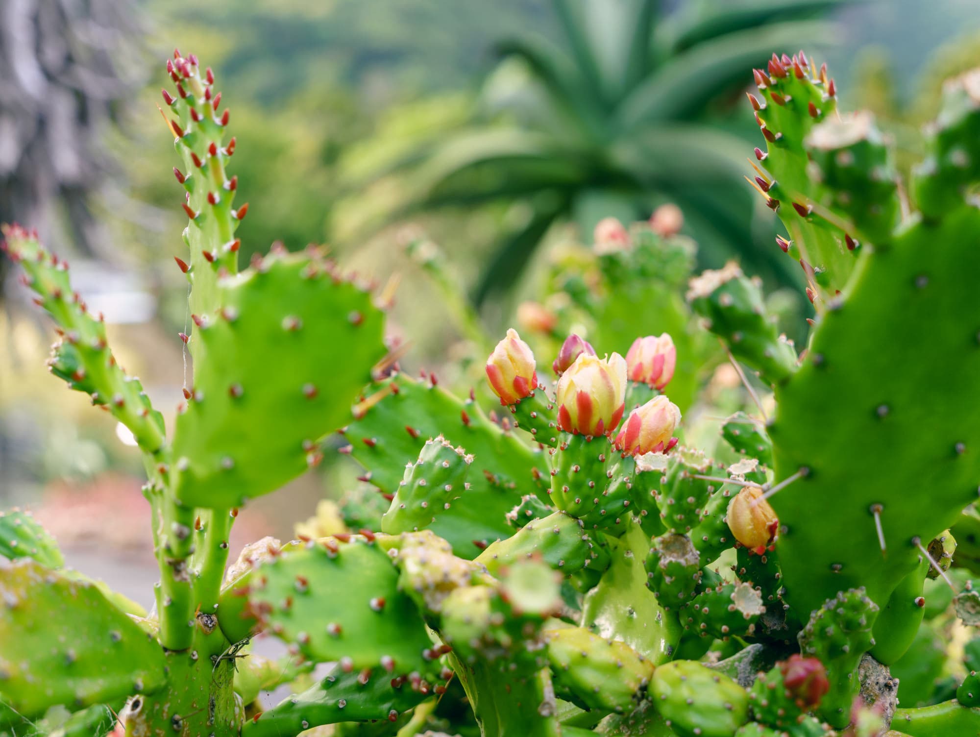 Wellington photo copyright-paulstamatiou_com-DSC00804