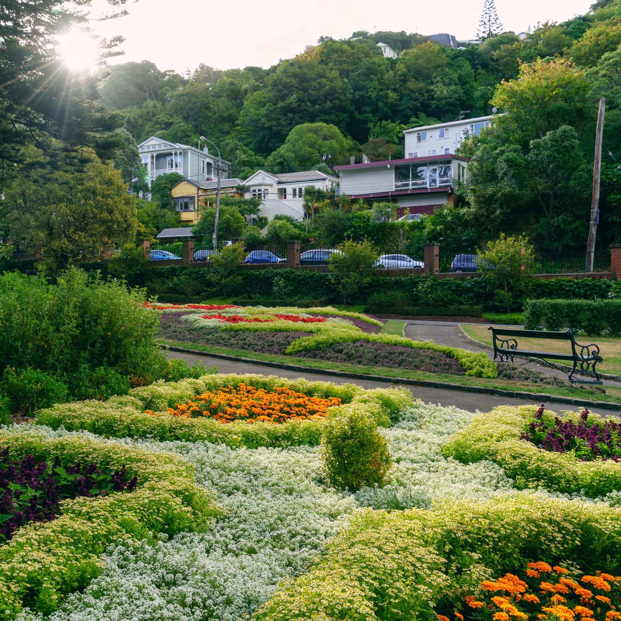 Wellington photo copyright-paulstamatiou_com-DSC00810