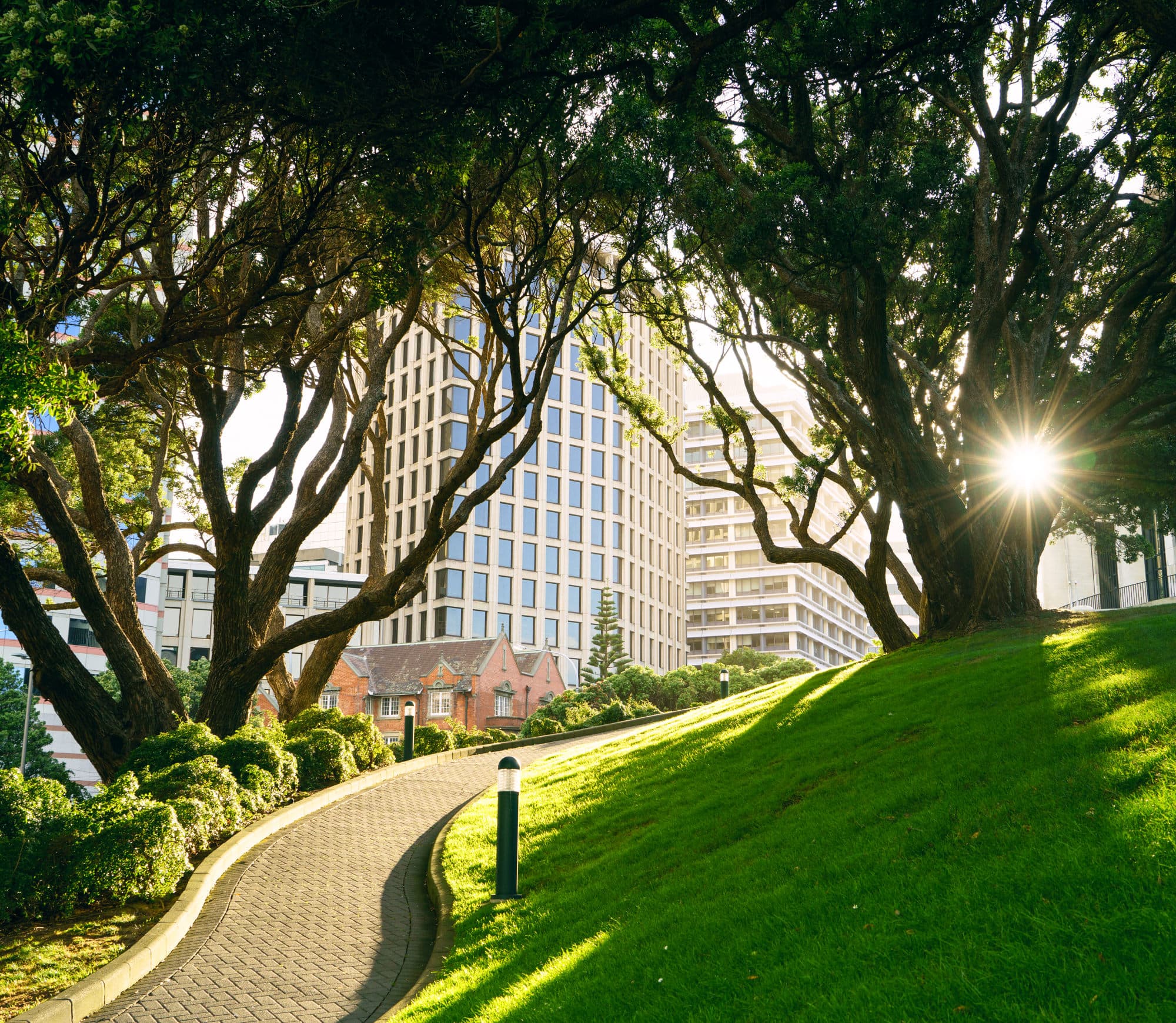 Wellington photo copyright-paulstamatiou_com-DSC00841