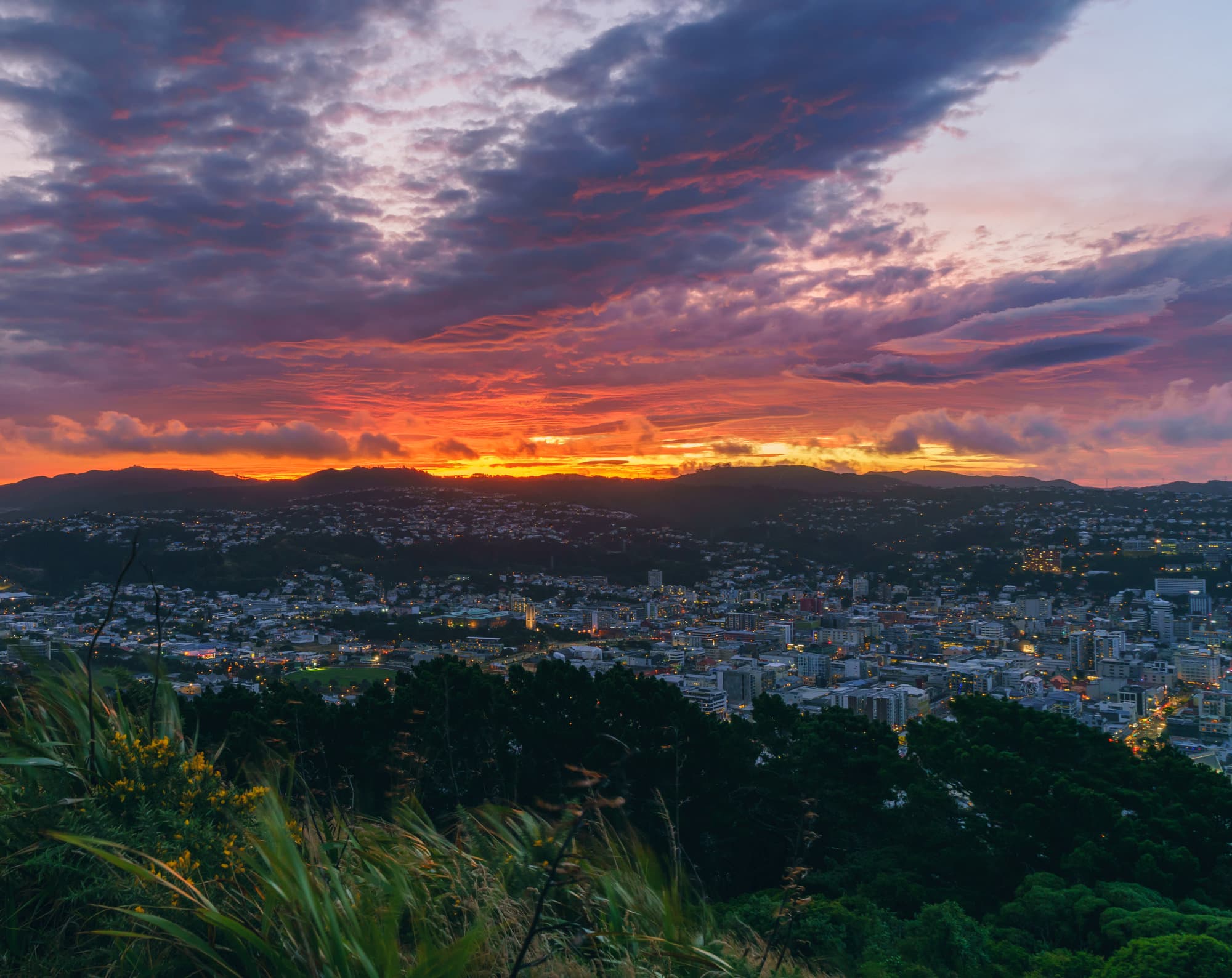 Wellington photo copyright-paulstamatiou_com-DSC00867