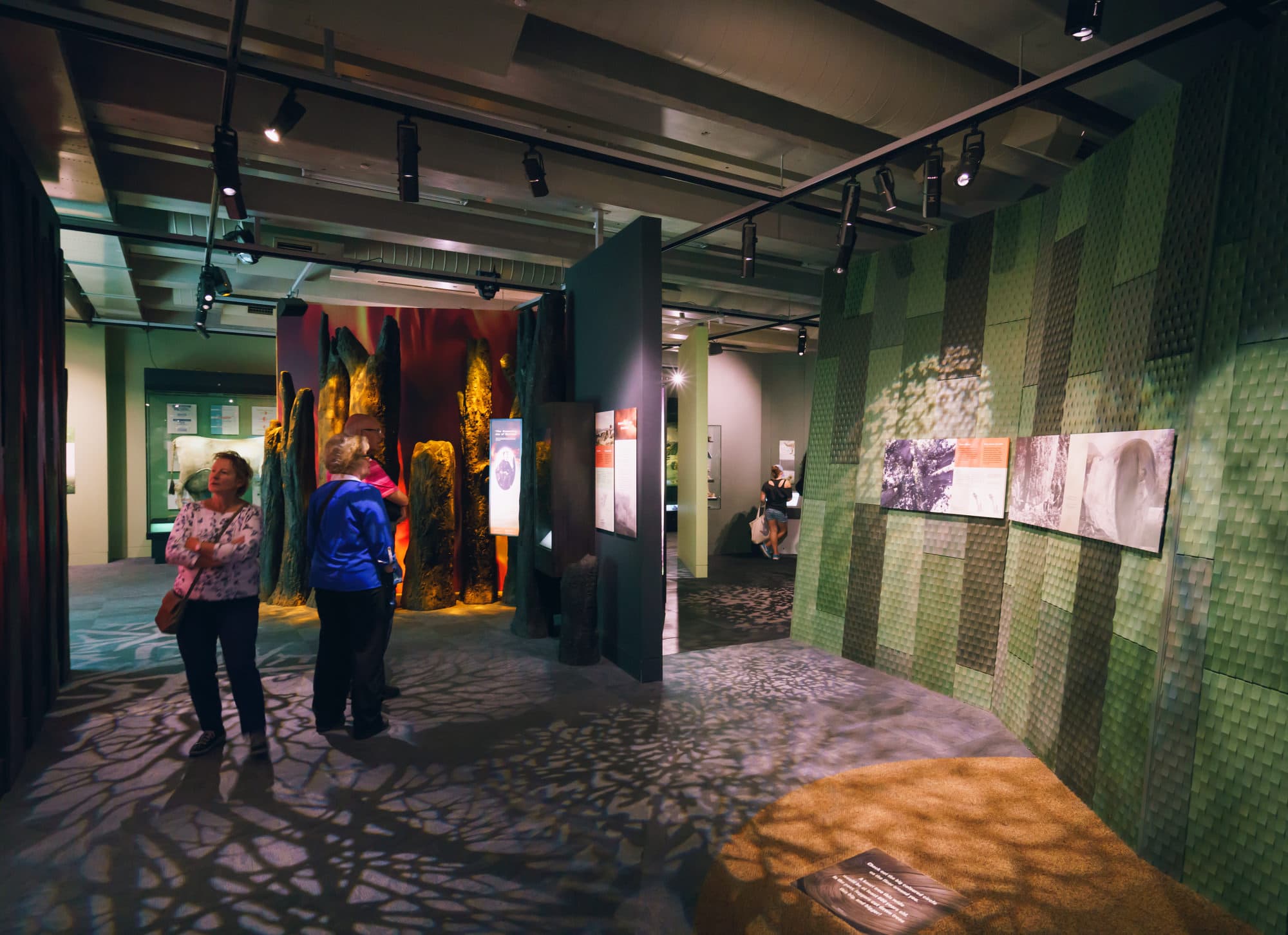 Wellington photo copyright-paulstamatiou_com-DSC01036