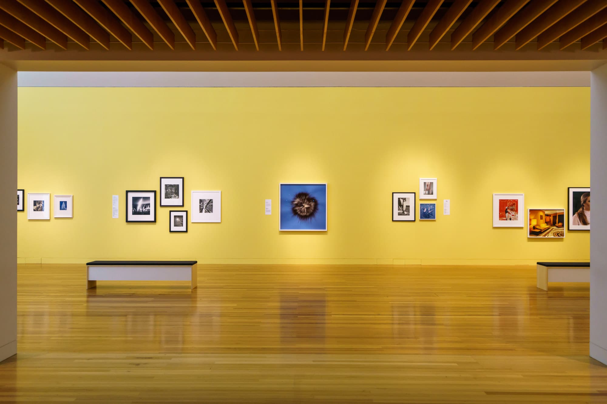 Wellington photo copyright-paulstamatiou_com-DSC01053