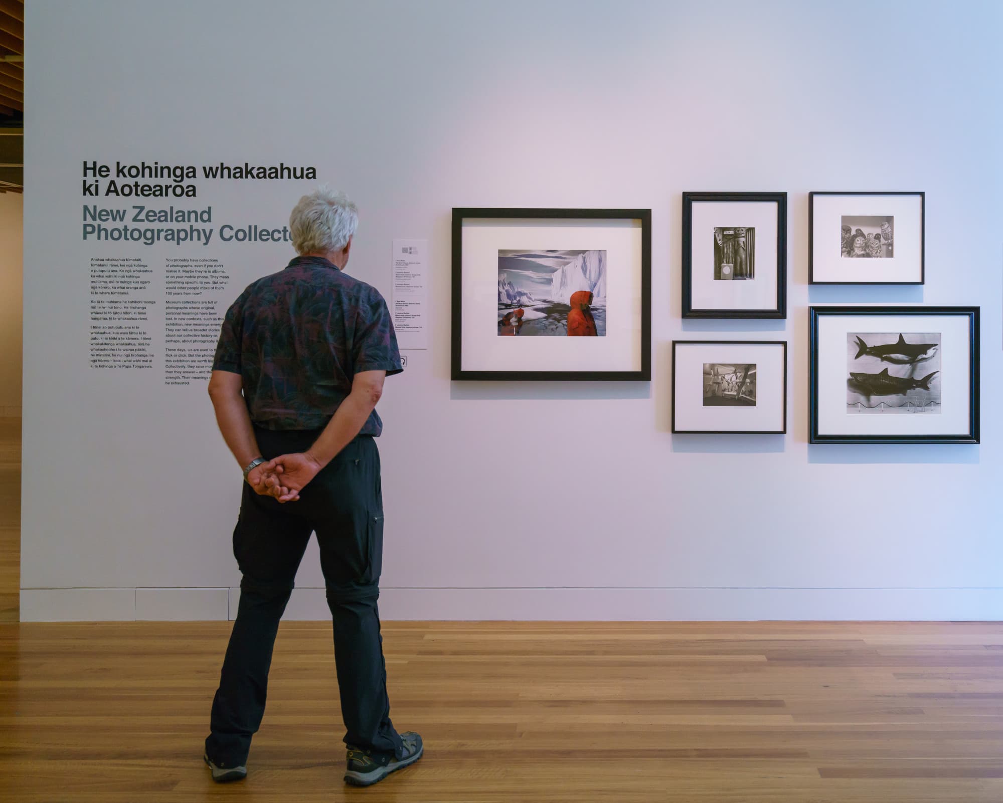 Wellington photo copyright-paulstamatiou_com-DSC01059