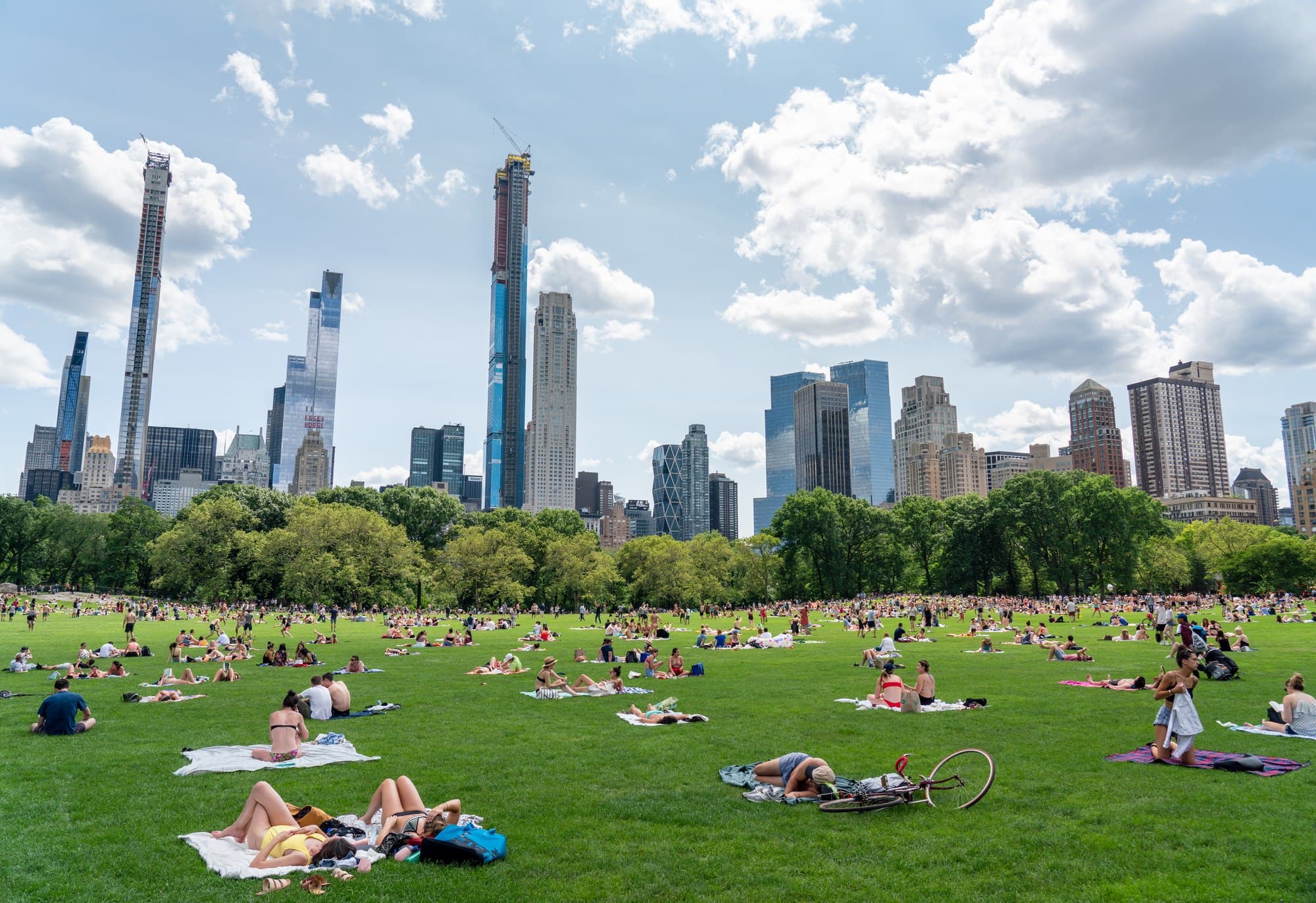 Sheep Meadow at Central Park on a sunny June day