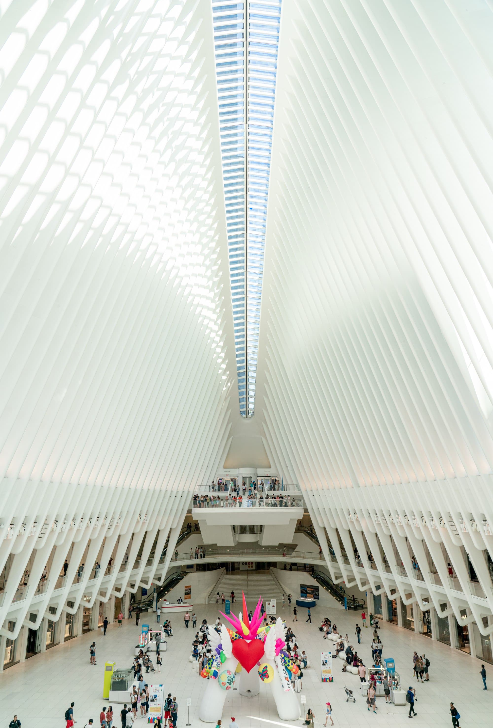 The Oculus